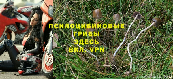 герыч Новозыбков