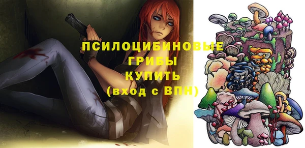 герыч Новозыбков