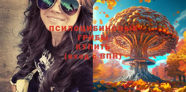 бошки Новокубанск